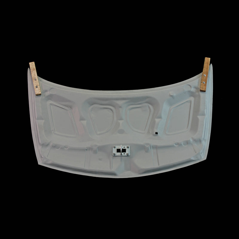 Honda Civic 2006 4 Door FD2R MUG RR Style Hood