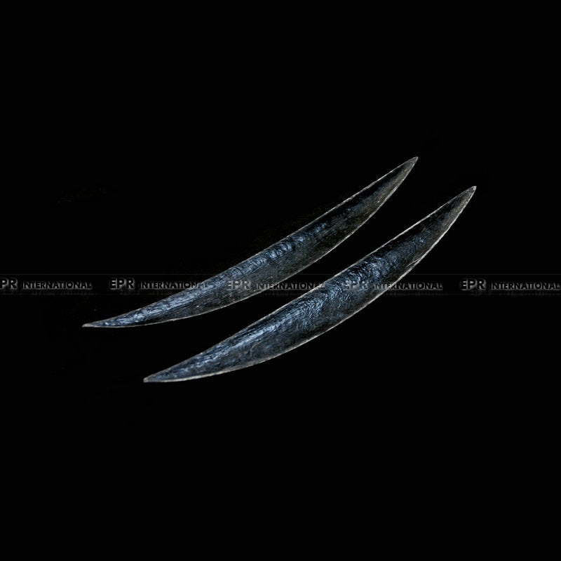 Infiniti 02-07 Skyline V35 G35 Coupe eyebrows