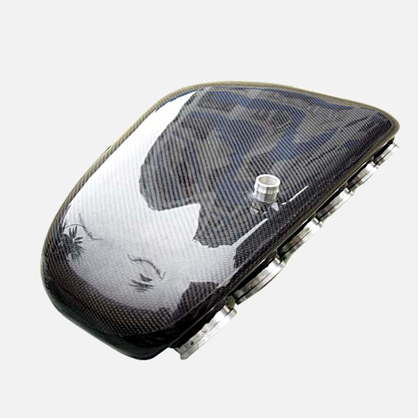 BMW 3 Series 00-06 E46 M3 2 Door Coupe Convertible Carbon Intake