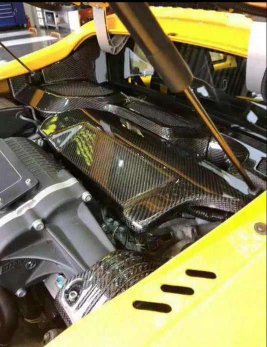 Lotus Exige S3 V6 Engine room cover left
