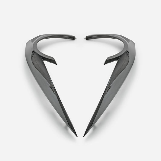 HONDA NSX NC1 OE Type Front fender