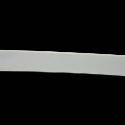 Toyota 08-15 Alphard Vellfire 20 series AH20 AD Style rear middle spoiler