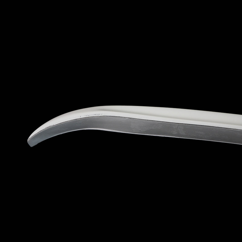 Toyota 08-15 Alphard Vellfire 20 series AH20 AD Style rear middle spoiler