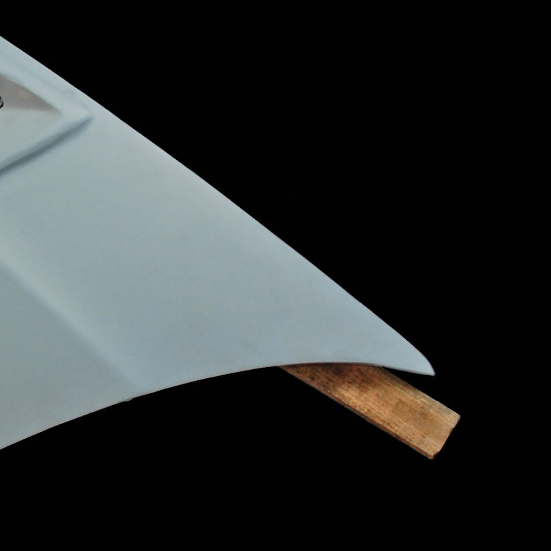 Honda Civic 2006 4 Door FD2R MUG RR Style Hood