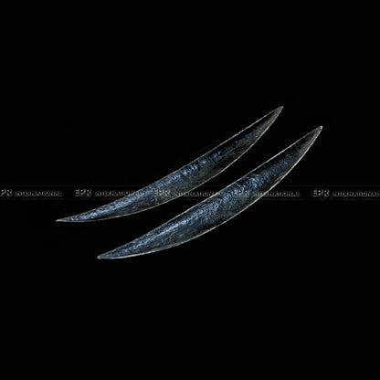 Infiniti 02-07 Skyline V35 G35 Coupe eyebrows
