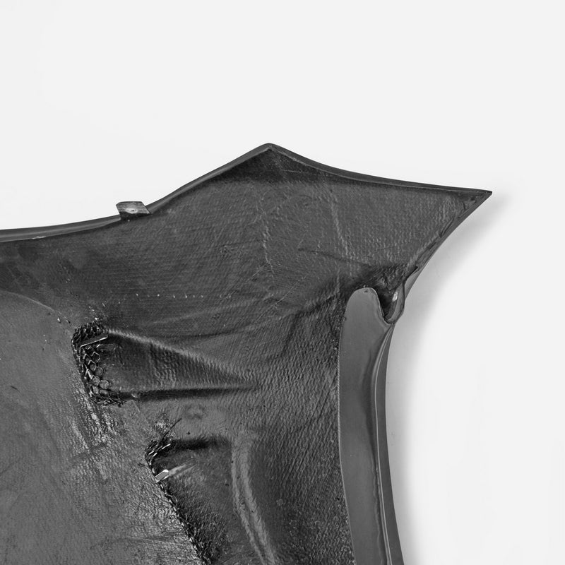 Nissan R35 GTR VRS19 Type front fender(with fender vents)