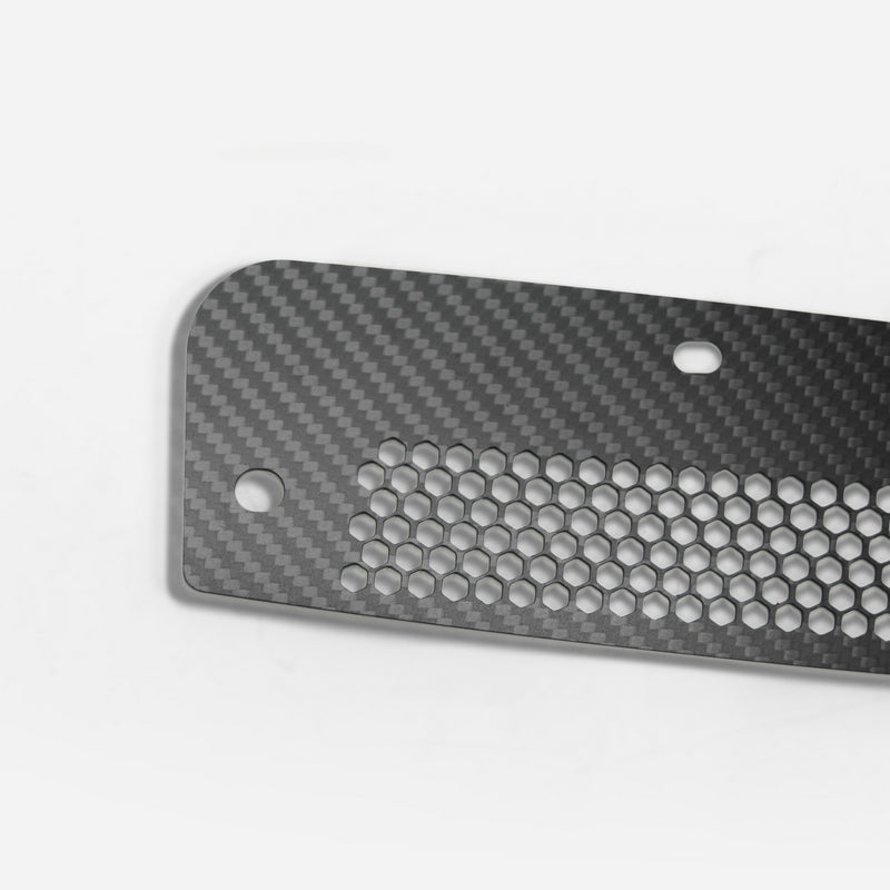 Honda Civic Type-R FL5  Dry carbon front fender stone rock guard (Small hole)