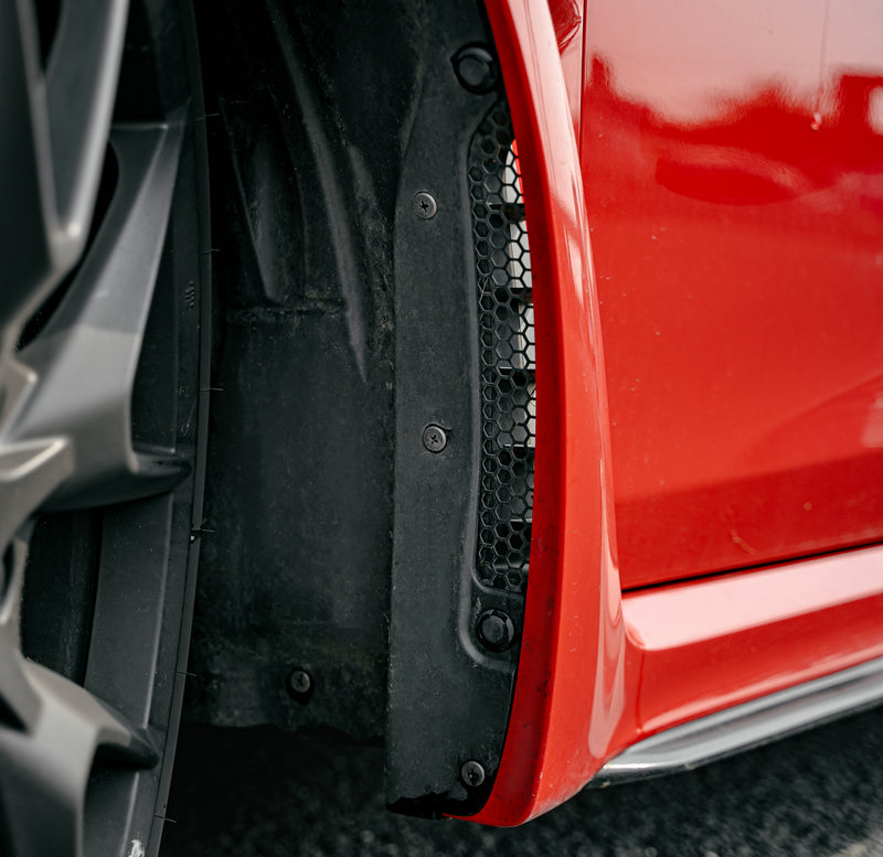 Honda Civic Type-R FL5  Dry carbon front fender stone rock guard (Large hole)