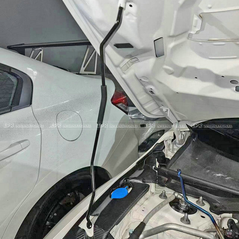 Honda Civic Type-R FL5 FL1 Titanium hood prop