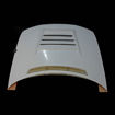 Picture of Skyline R33 GTS Spec 1 DM Style Hood