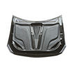 Picture of Evolution 10 VRS Style System 1 Style Hood