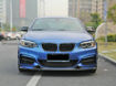 Picture of F22 EXOT Style Front Lip